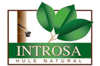 INTROSA